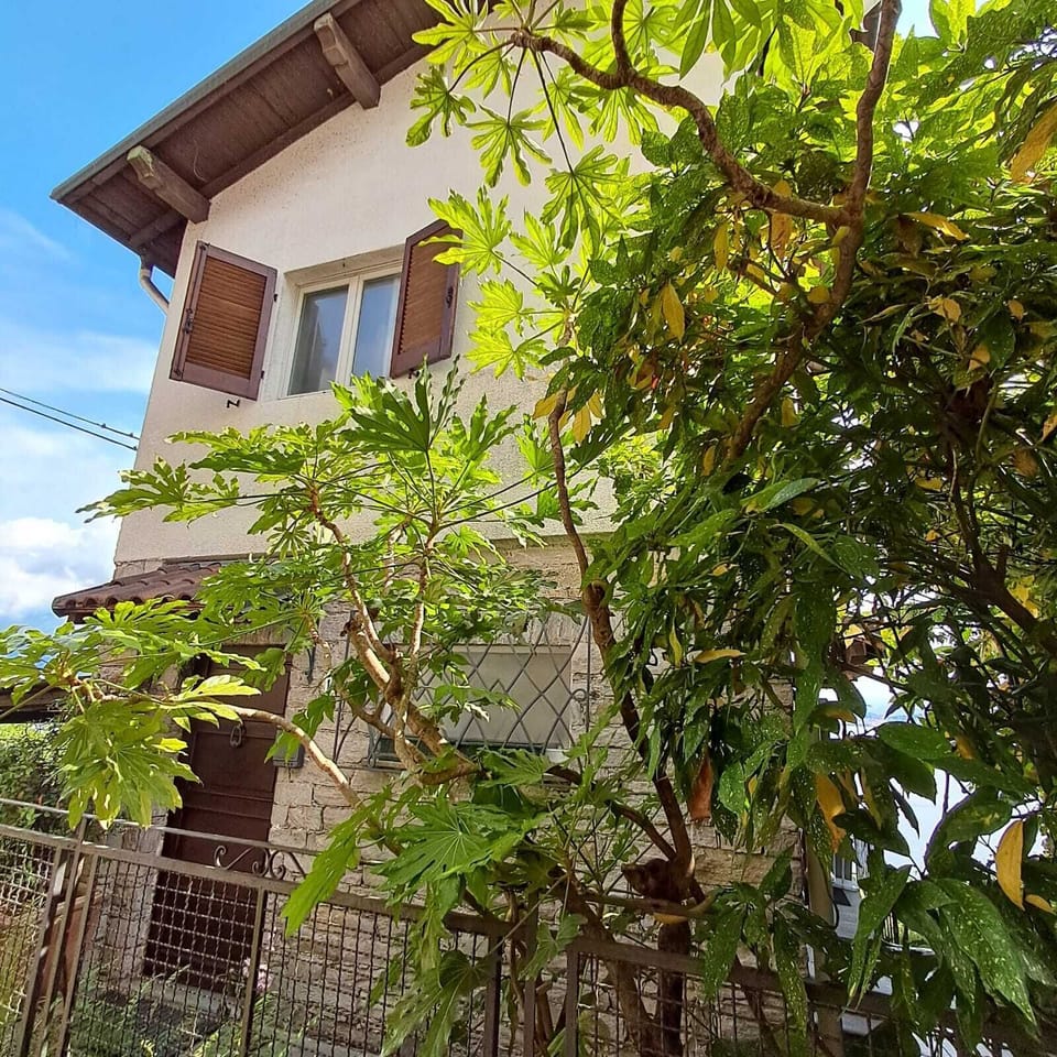 Entrace to the house with iron gate