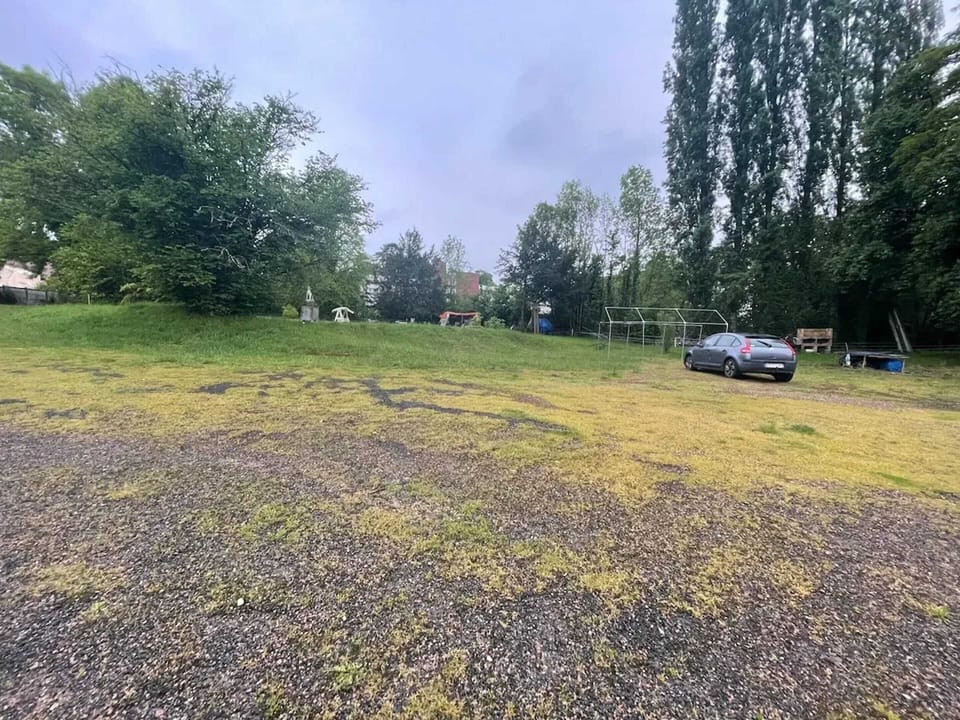 Petanque strip