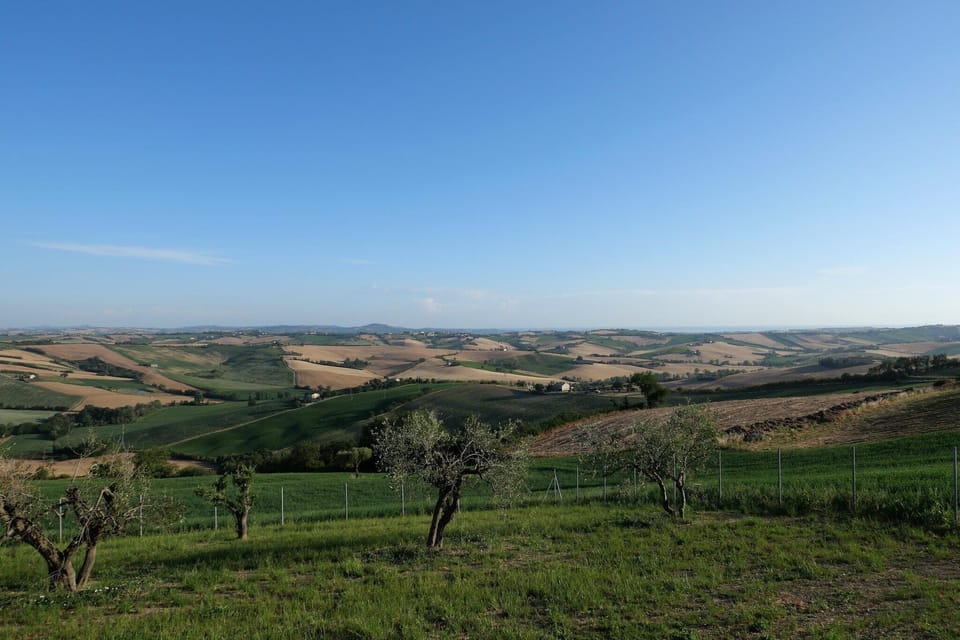 View from Holiday Home [summer]