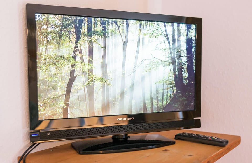 Television