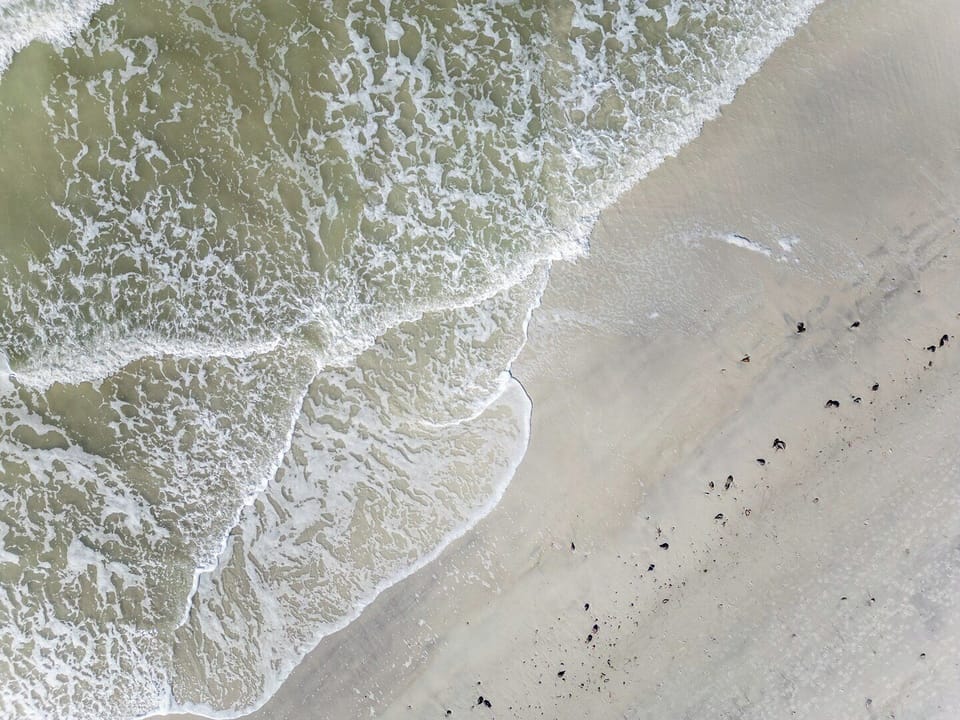 The Tides Beach Club  A Premier Gulf Coast Retreat House in North Redington Beach
