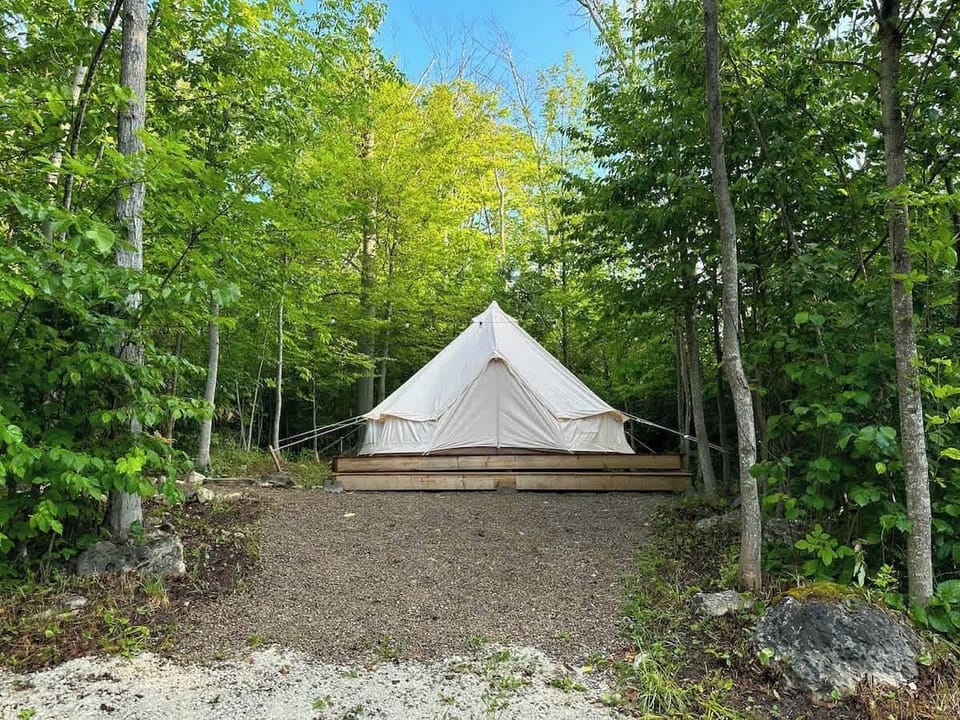 Trees around Wrangler Glamping Tent