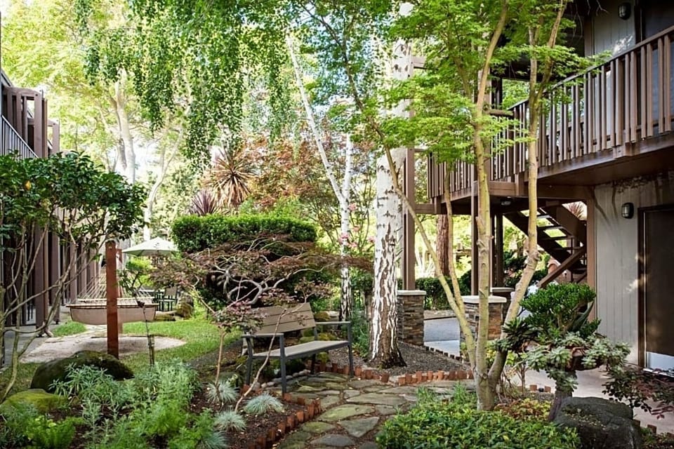 Meander along garden paths framed by mature trees and greenery.