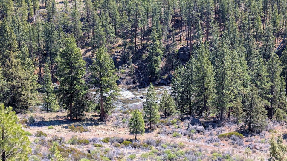A Central Oregon View with the Deschutes River below