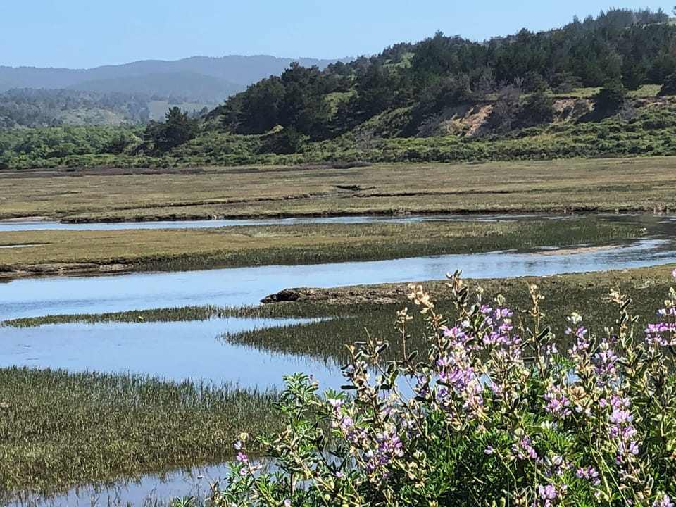 Pt Reyes...... so close+ incredibly beautiful; beaches, mountains, lakes, hikes