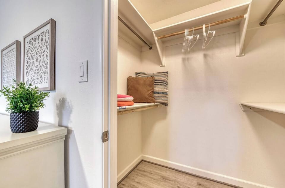 Master Walk-in closet