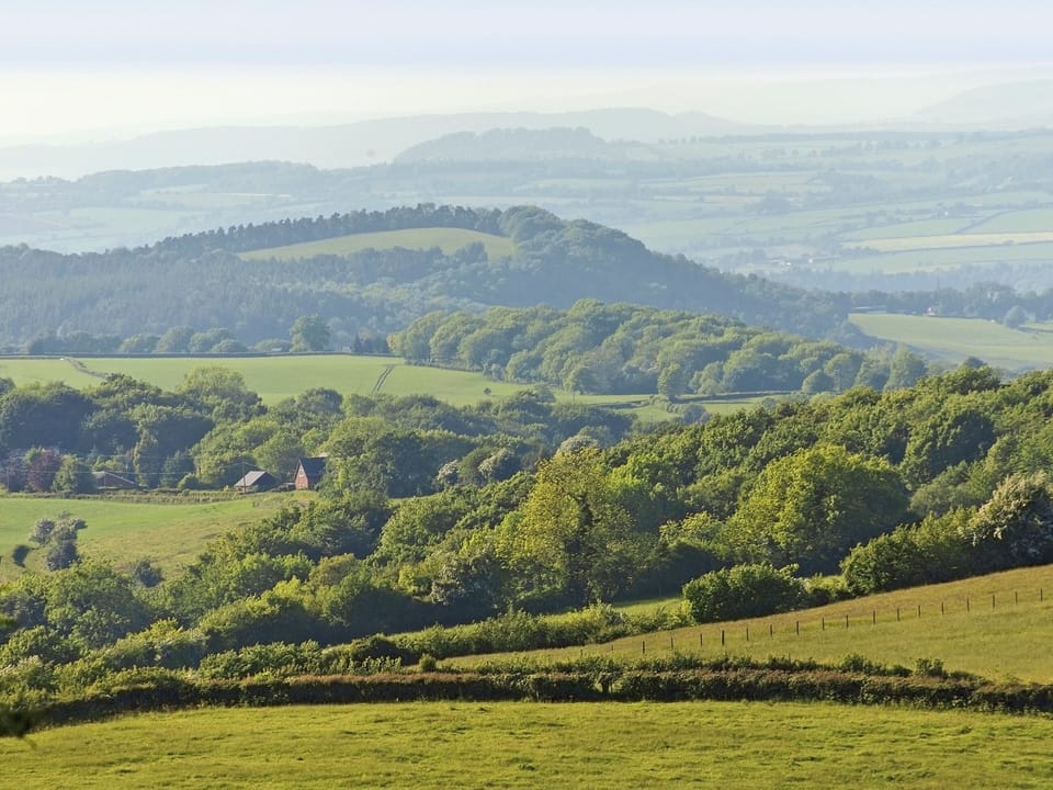 Forest of Dean