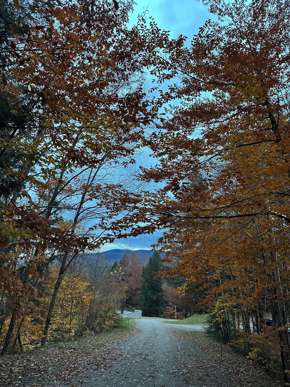 come see the fall colors!