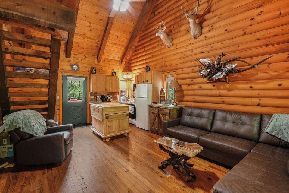 Living room area and kitchen with pull out table in island