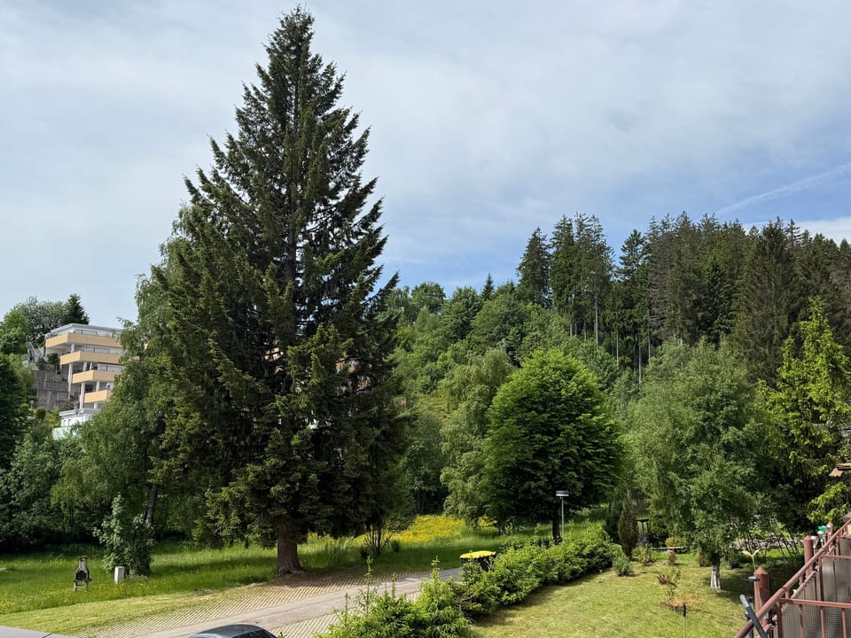 View from property