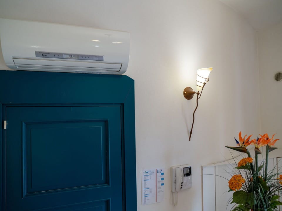 Home Appliance, Window Treatment, Window Covering, Houseplant