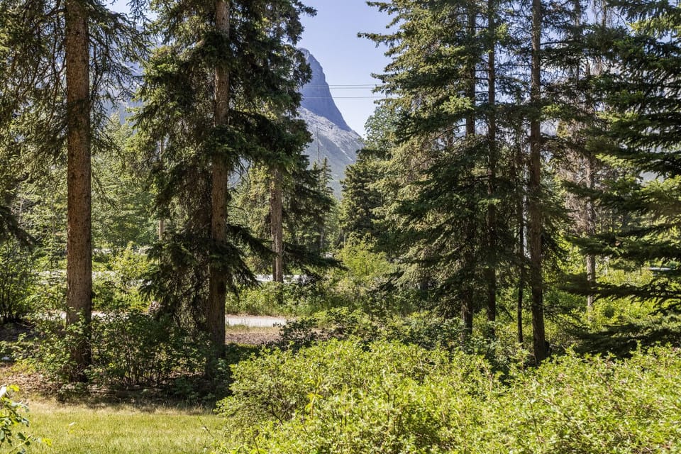 South-Facing Patio: Beautiful old pine trees swaying in the wind with iconic mountains peaking through.