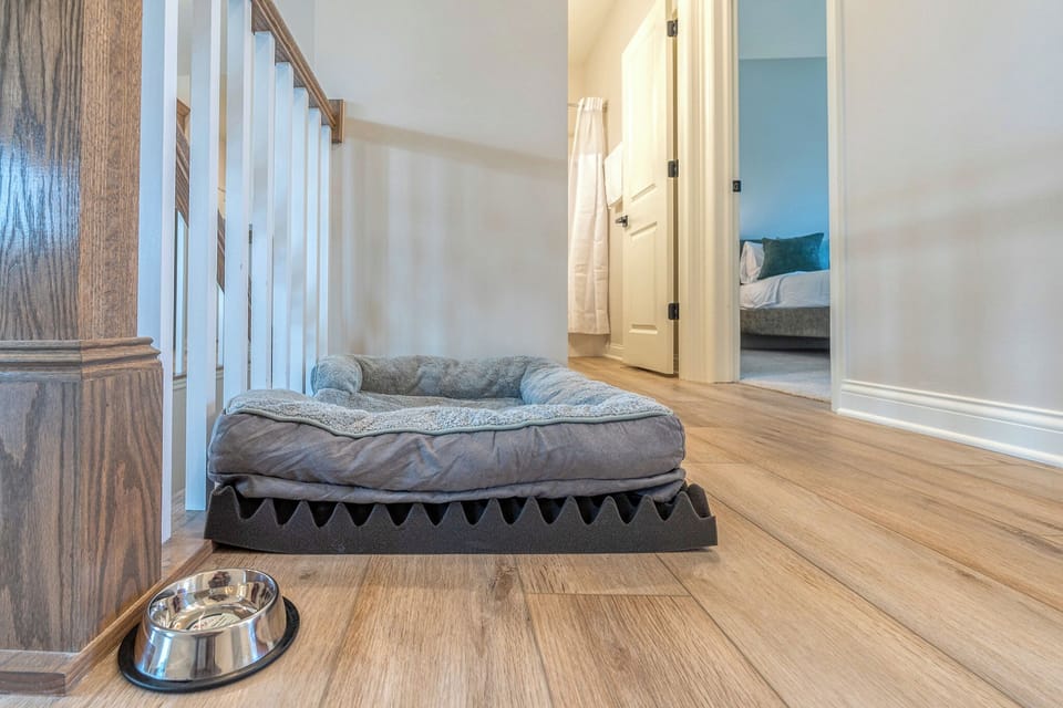 Ergonomic dog bed  (small/medium)