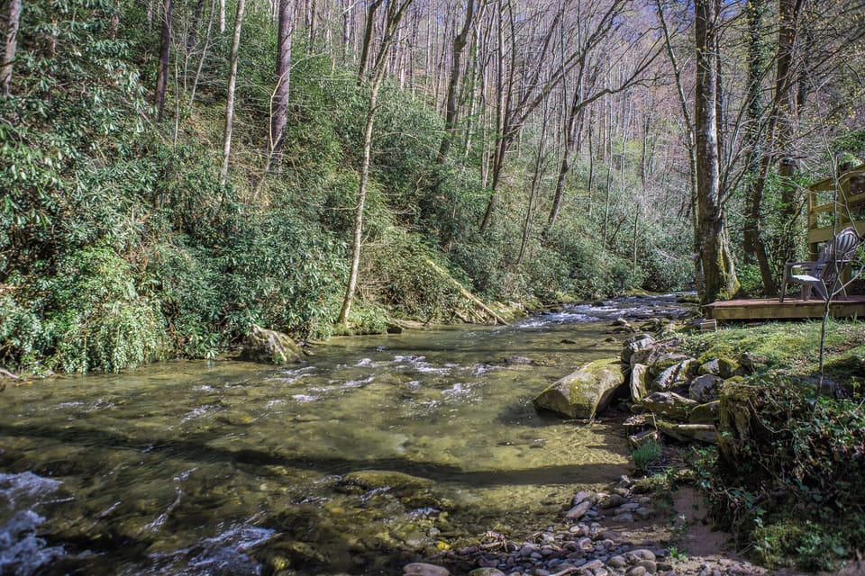 Relax with the creek right outside your back door!