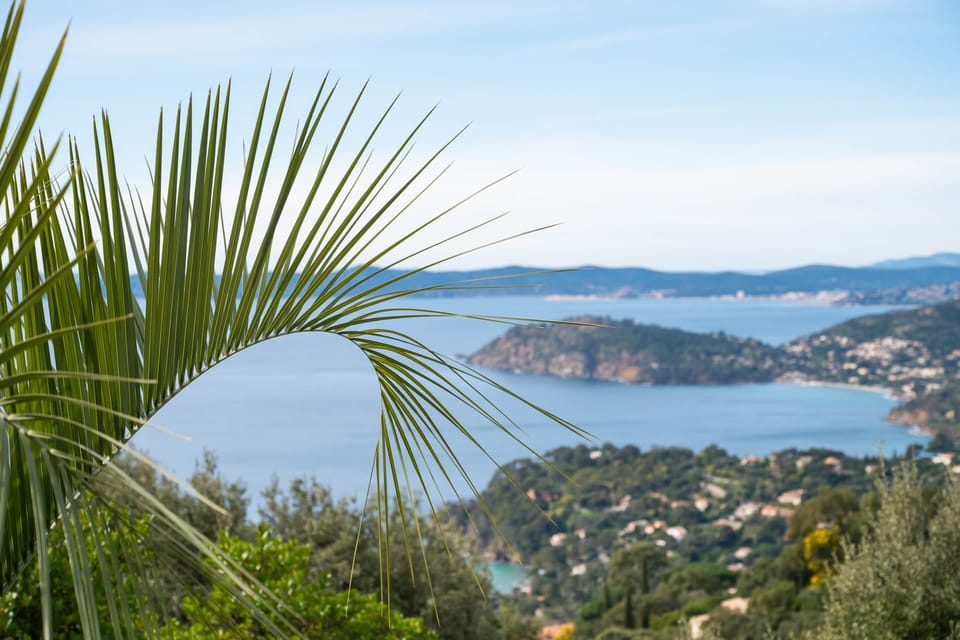 View from the lower terrace