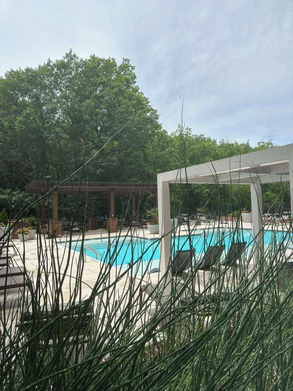 Pool view