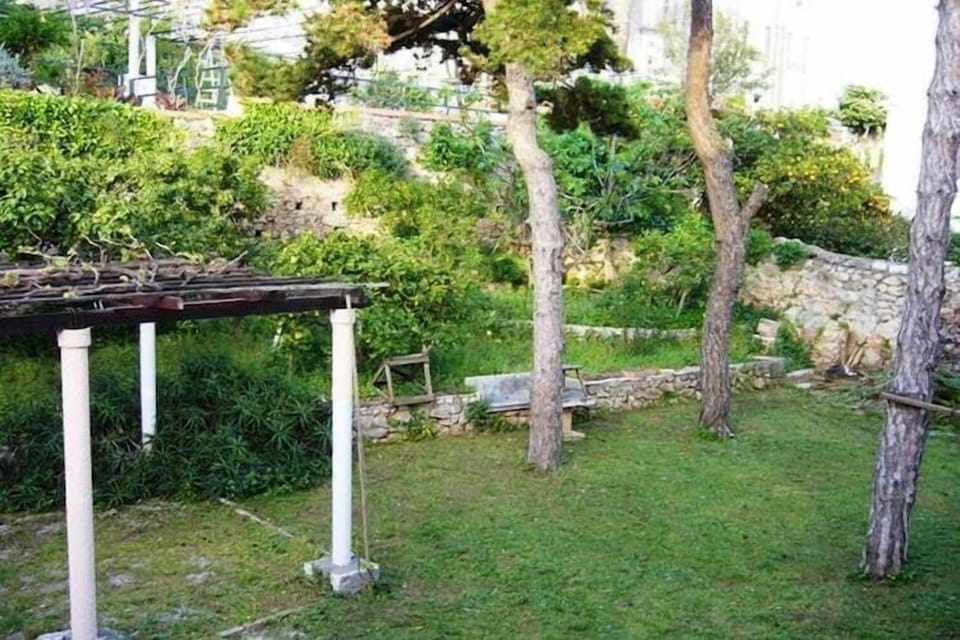 Garden [summer]