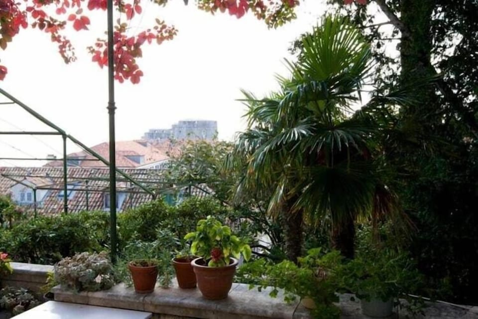Garden [summer]