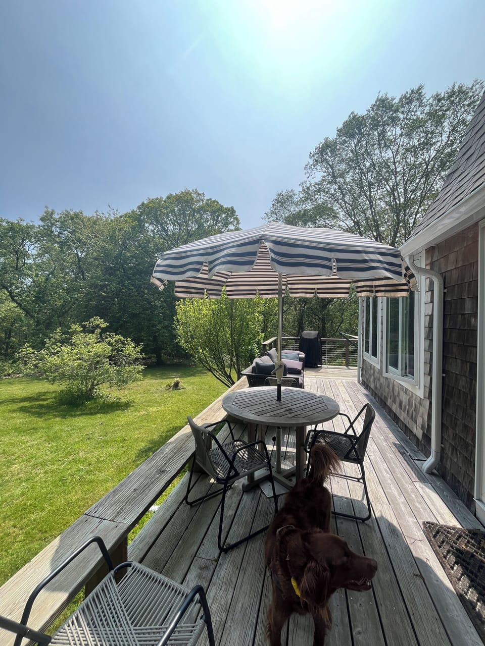 Outdoor dining