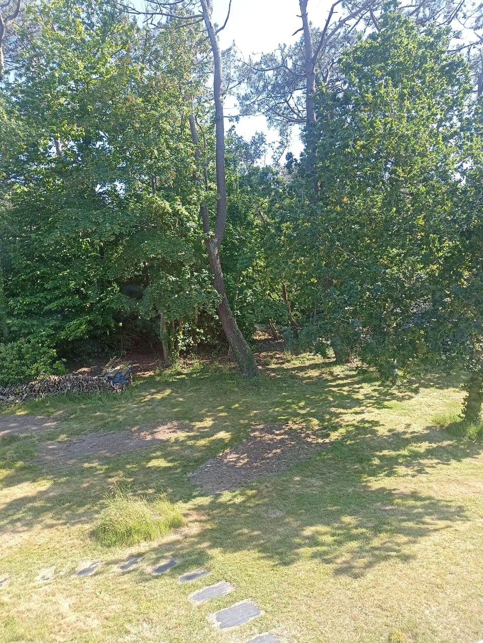 Miscellaneous