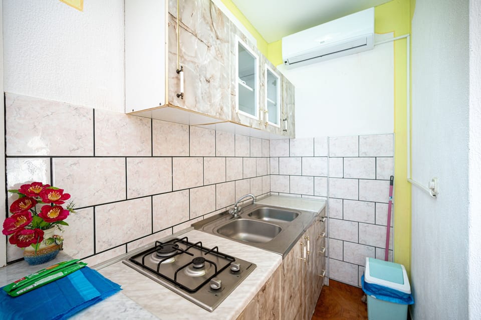 Fridge, stovetop, cookware/dishes/utensils