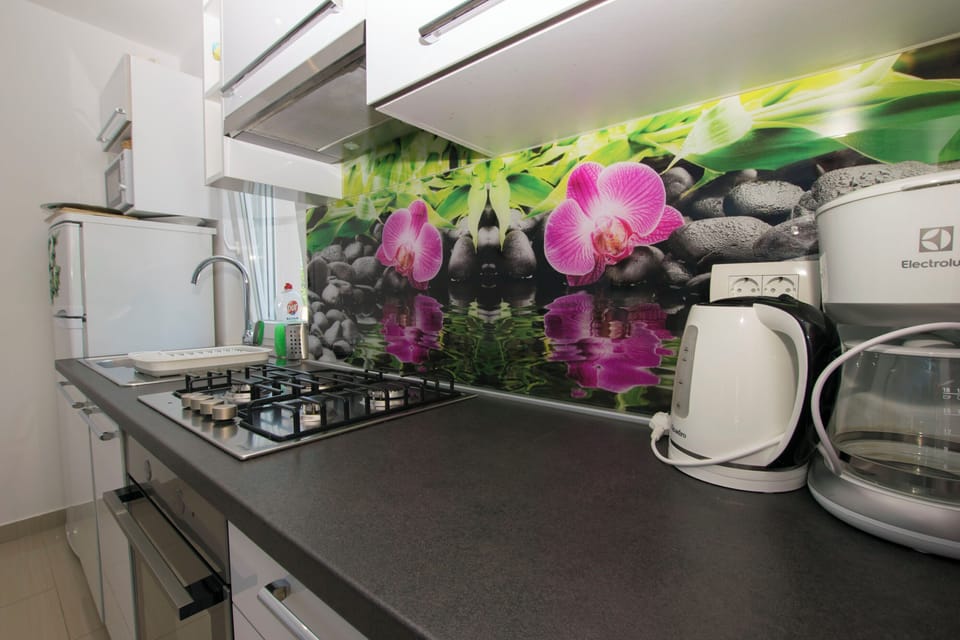 Fridge, microwave, stovetop, dishwasher