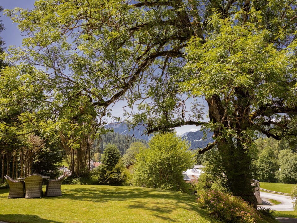 Tree, Leaf, Green, Nature, Branch, Vegetation, Landscape, Spring, Sunlight, Garden