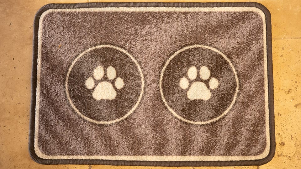 Pet Friendly
