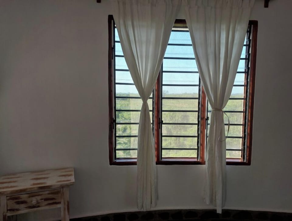 Wide windows