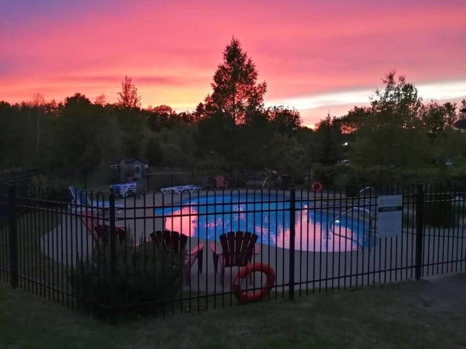 Swimming pool, summer (2)