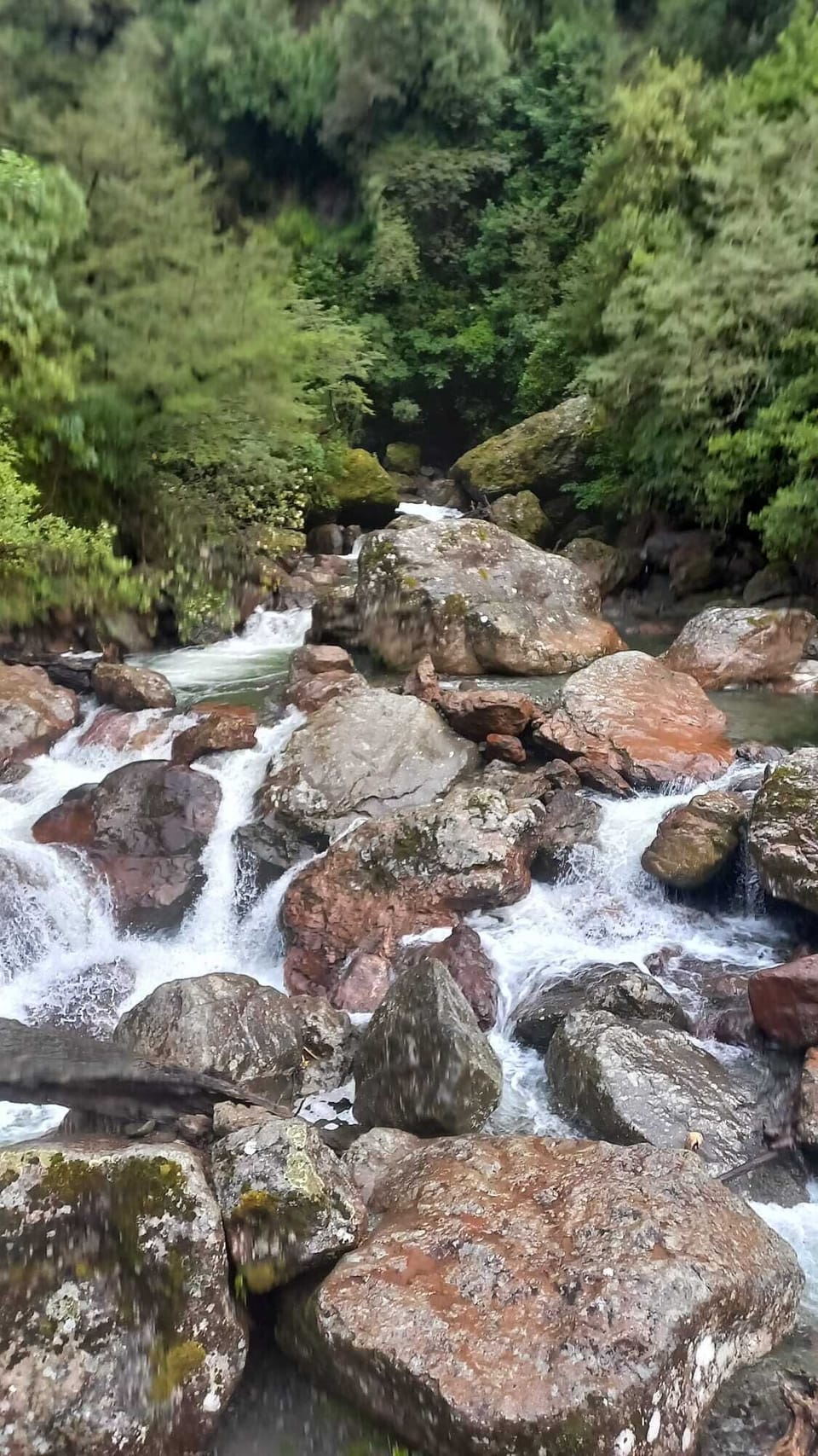 Sharplin Falls, local walk