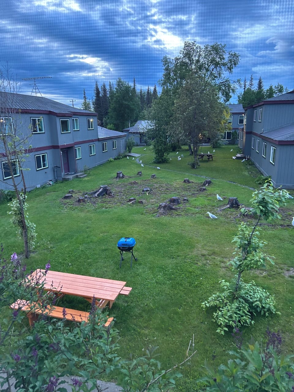 Terrace/patio