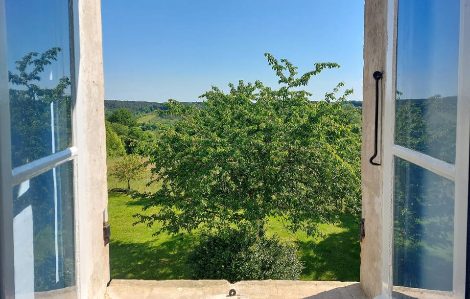 view-from-room
