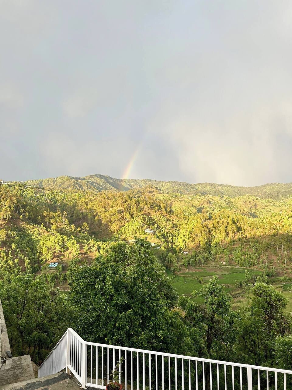 View from property