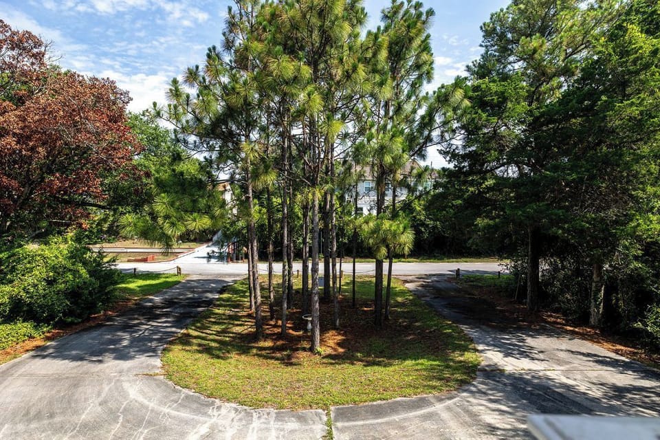 Front Yard