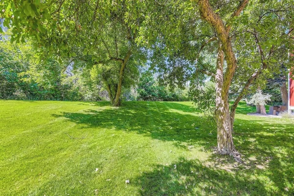 Open space behind the building 