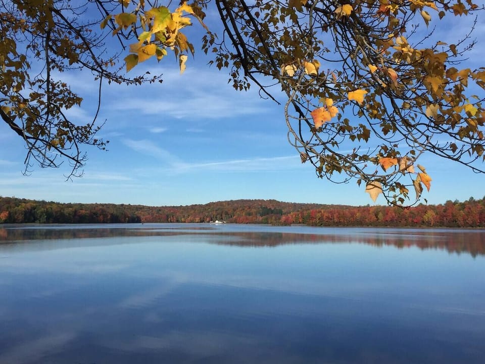 Lake in fall