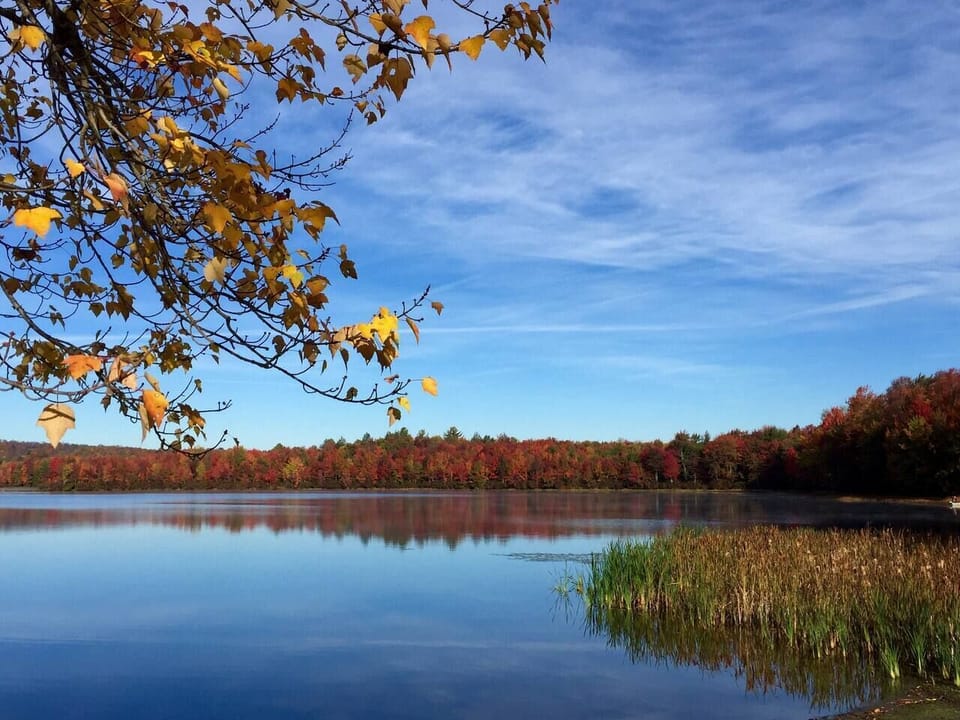 Lake in fall