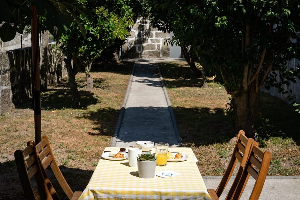 Garden [summer]