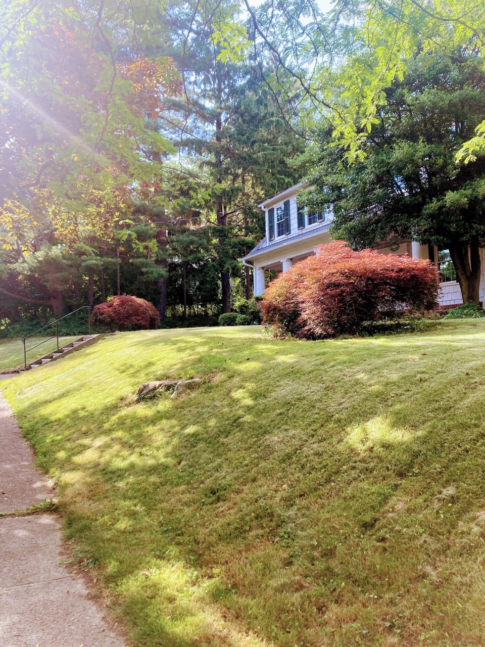 Property grounds