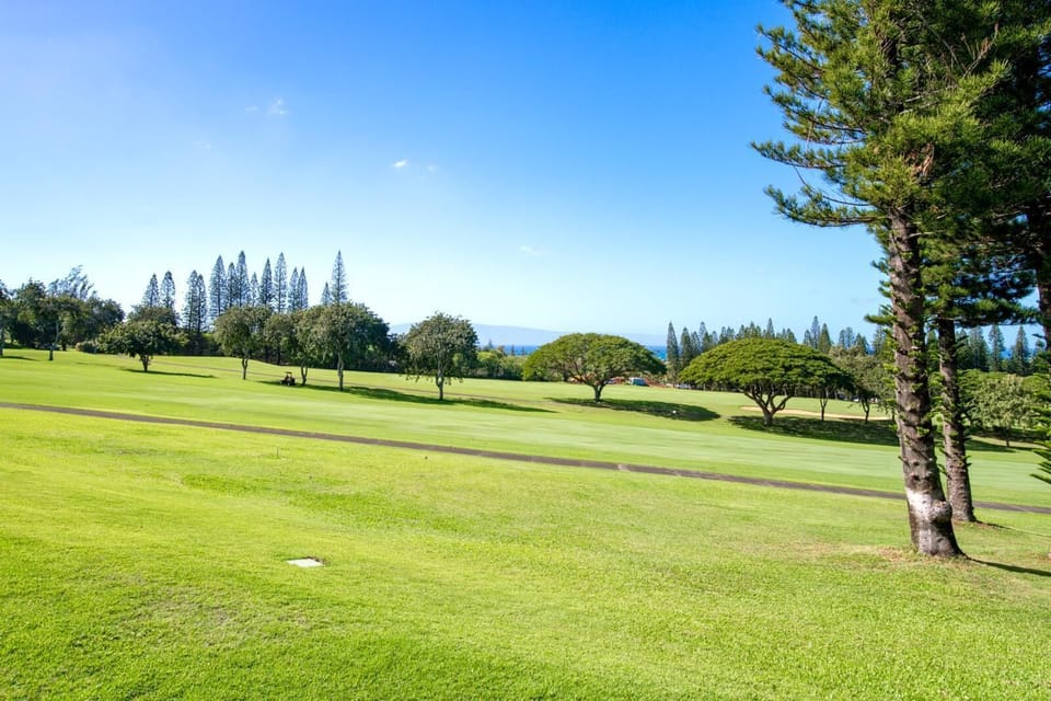 Let nature greet you each morning with panoramic golf course vistas that stretch beneath expansive island skies     KGV-17P7