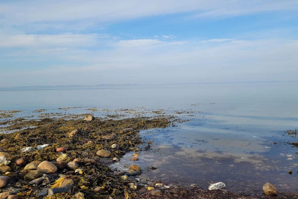 Water view