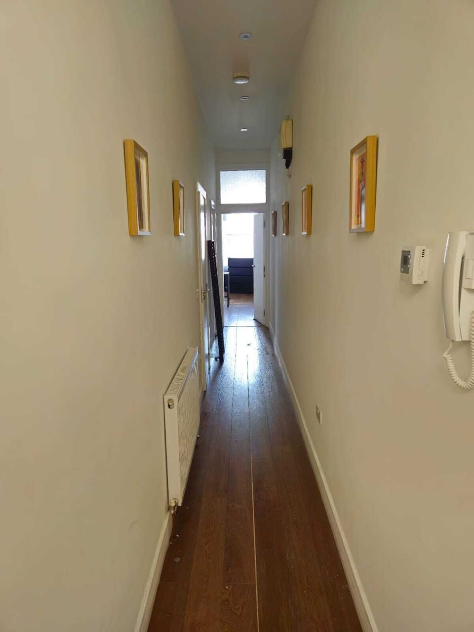 funky features