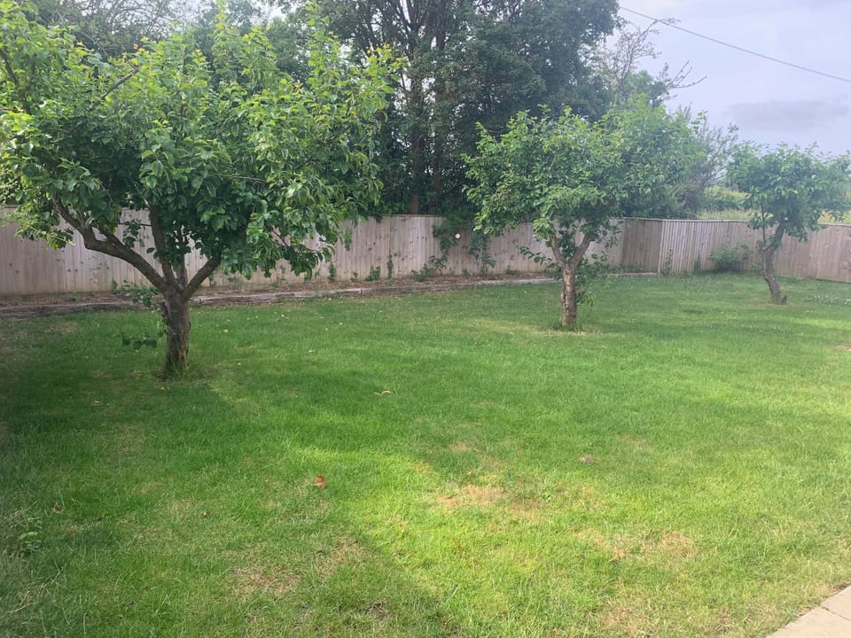 Secure garden area with three plum trees. 