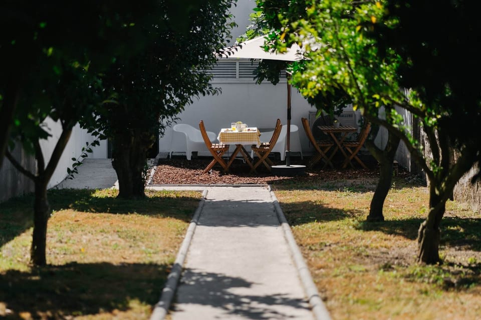 Garden [summer]