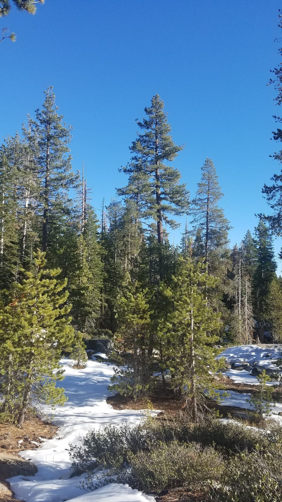 Along highway 4