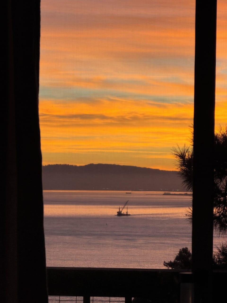 View from property