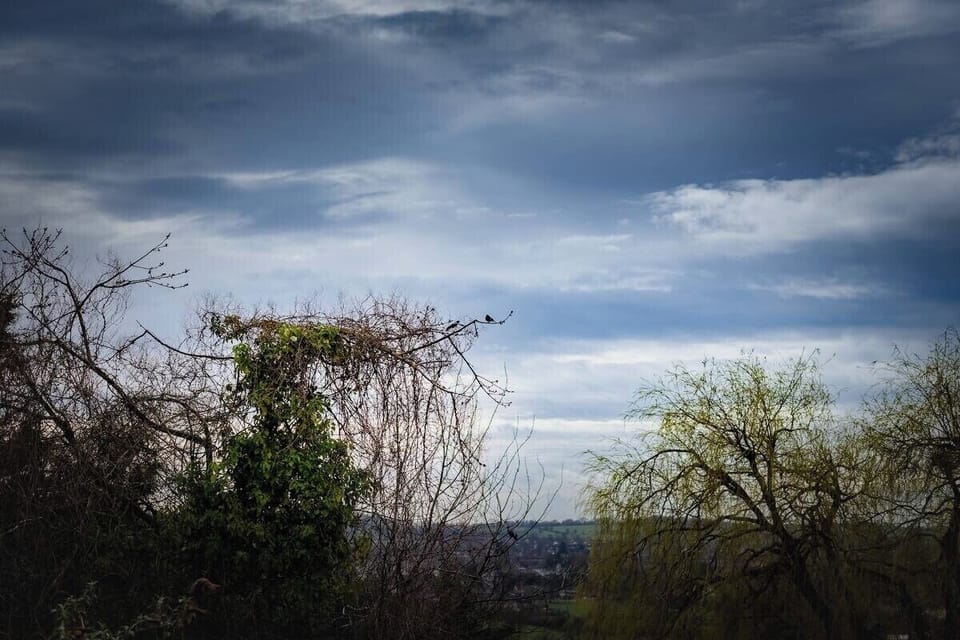 Image 21