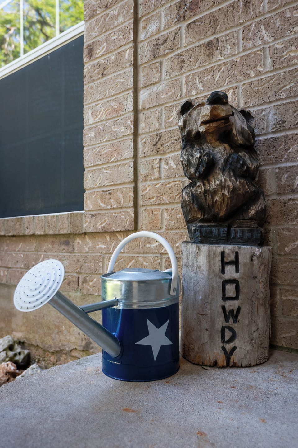 Front yard with Woody ready to greet you.