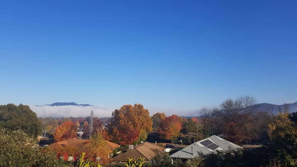 Elevated view from back deck
